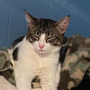 Meet your Posher, Deborah